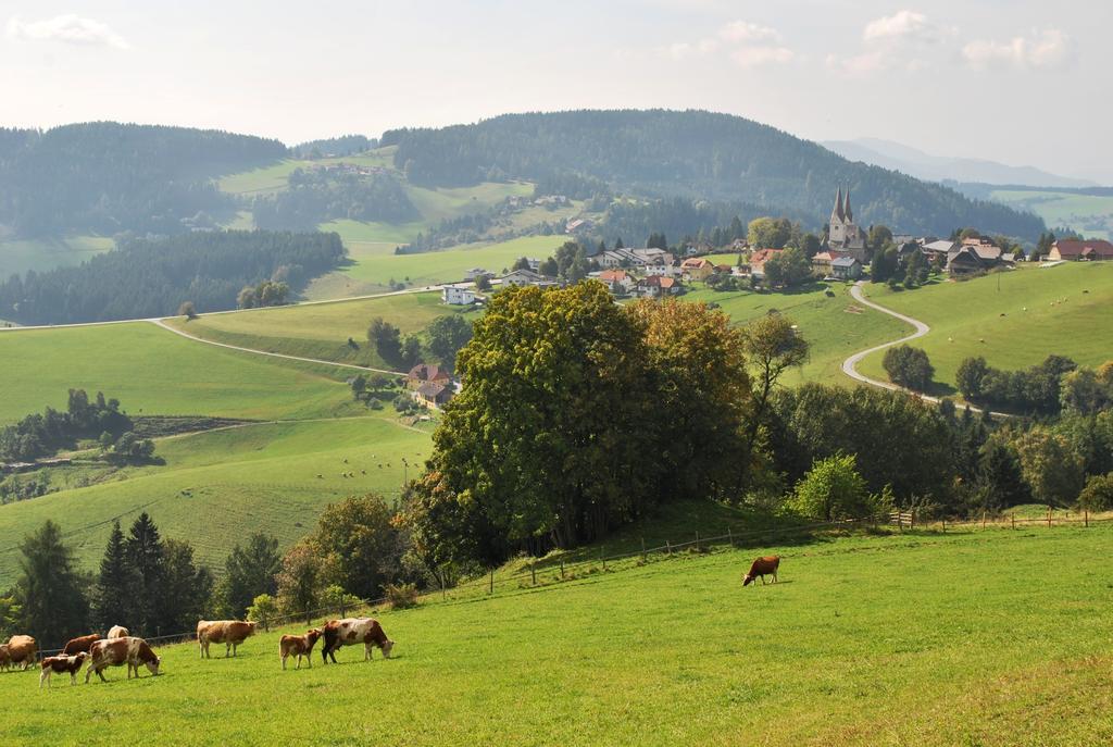 Apartment Noreia Sankt Kanzian am Klopeiner See